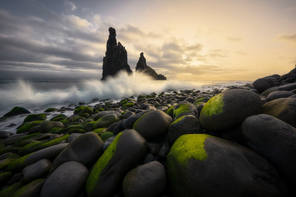 Moss-covered rocks on the rocky shore with waves crashing against sea stacks at sunset, Madeira Island.