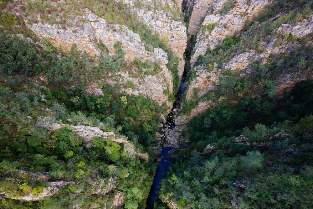 Aerial view of Storm's River gorge showing steep cliffs, dense forest, and a narrow river, Eastern Cape, South Africa.