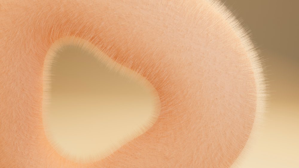 Abstract digital illustration of a soft fuzzy orange shape against a smooth light brown background.