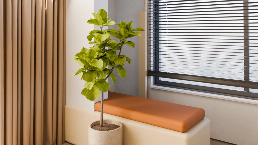 Leafy potted plant beside an orange cushioned bench near a window with horizontal blinds in a modern home interior.