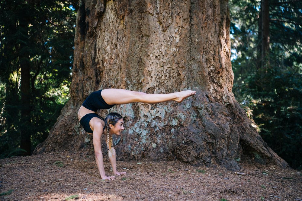 Woman dressed in athletic wear performs a handstand backbend next to a large tree trunk in a forest during daylight, contortionist, Tacoma, WA, USA.