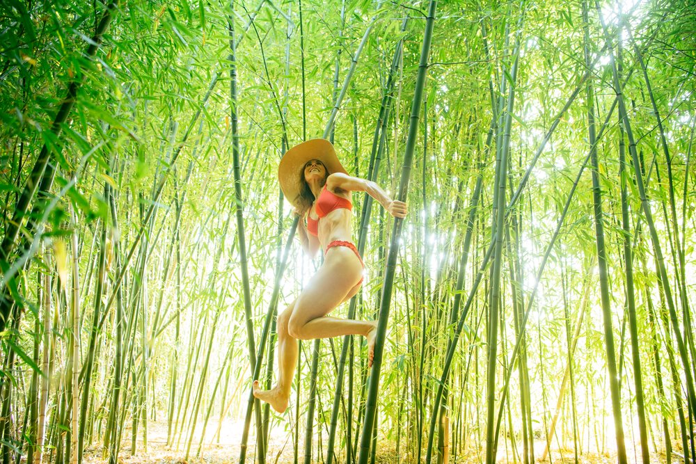 Woman climbing tall green bamboo stalks barefoot in an outdoor bamboo forest under bright sunlight, Calisthenics, yoga, USA.