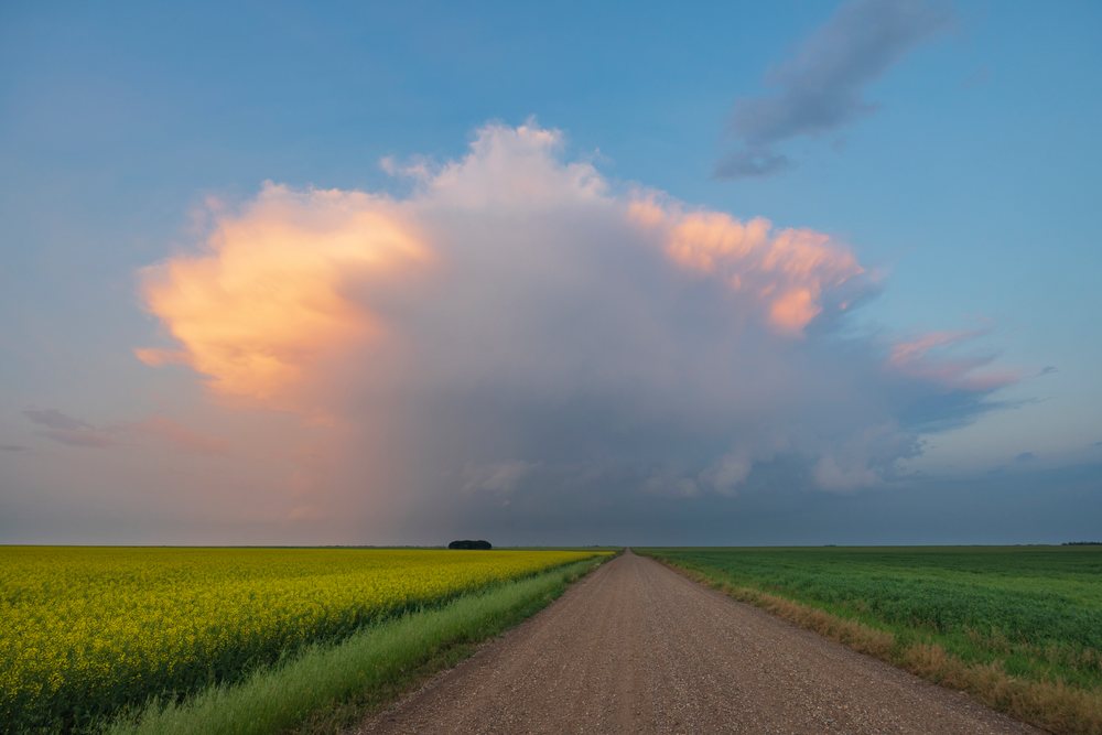 Low Precipitation Supercell cloud forms above rural fields near Township Rd 412, at Sunset, Storm Chasing, Weather, Environment, Phippen, Saskatchewan, Canada.