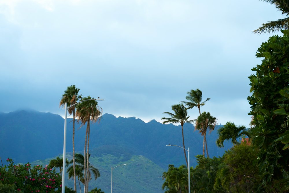 Palm trees and street lamps stand before lush mountains under a cloudy sky, Oahu, Hawaii, USA.