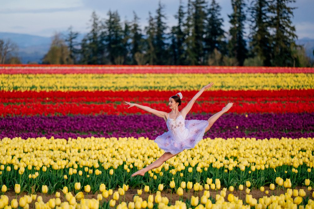 Ballet dancer wearing a tutu leaps gracefully amid rows of colorful tulips in a vibrant outdoor field, USA.