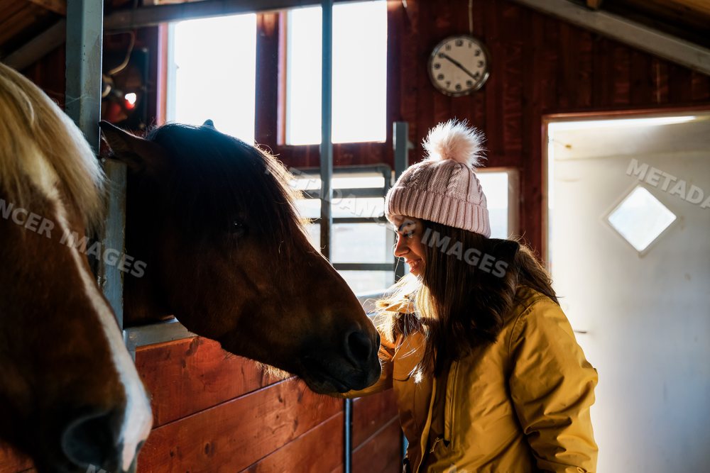 A white woman pets a horse inside a stable in Iceland during winter