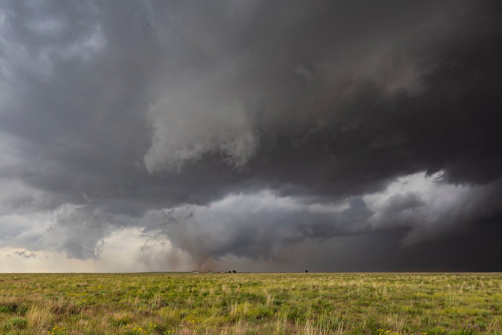 Tornado touching down on a flat grassy field under dark storm clouds, Morton, Texas, USA.