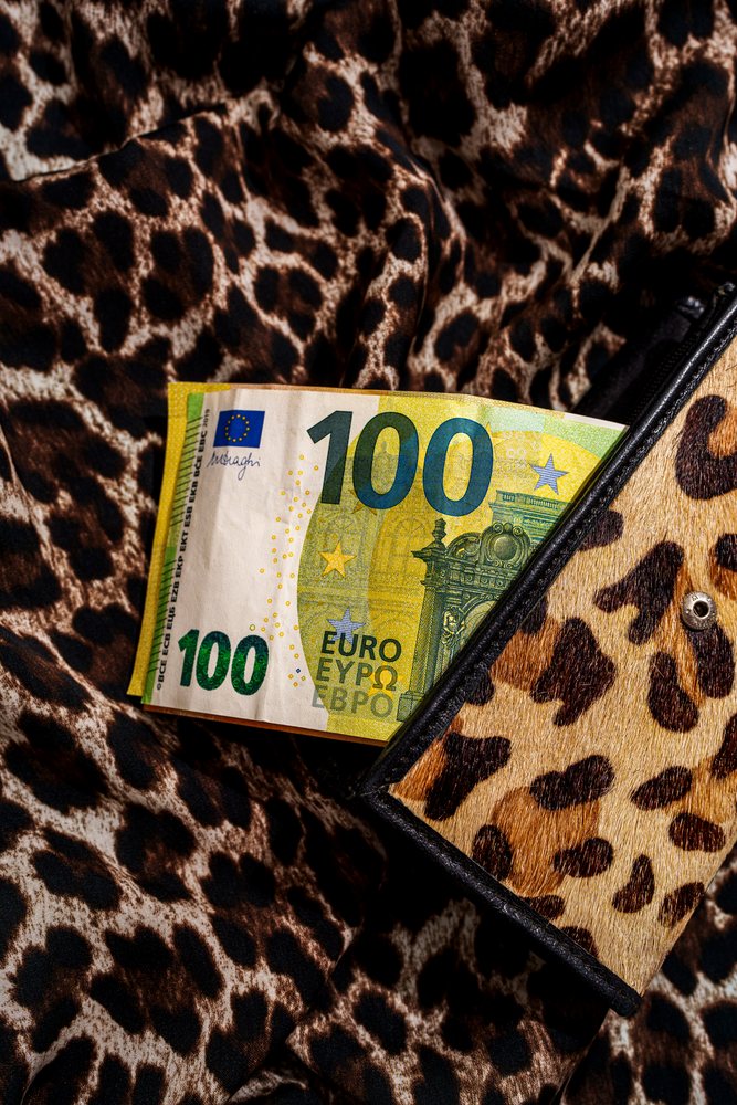 100 Euro banknote partially inside an open leopard print wallet on matching leopard print fabric, Studio Shot.