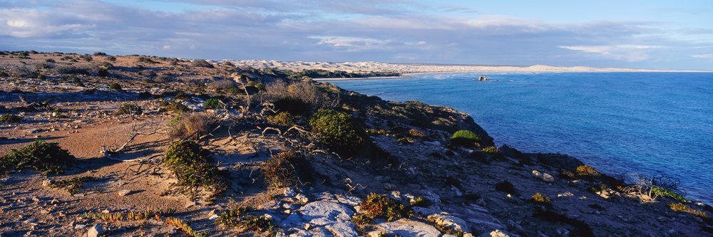 Rocky coastal cliffs and sand dunes beside blue ocean water under a partly cloudy sky at the Great Australian Bight.