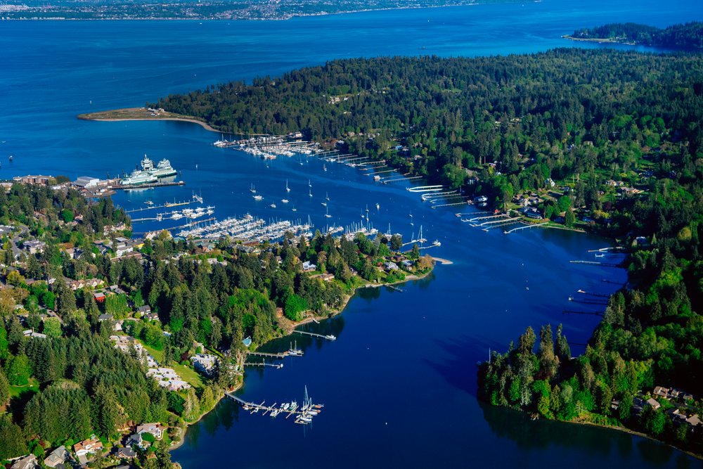 Aerial view of Eagle Harbor marina on Bainbridge Island showing boats docked among dense forest and nearby residential houses along the water, Puget Sound, Salish Sea, USA.