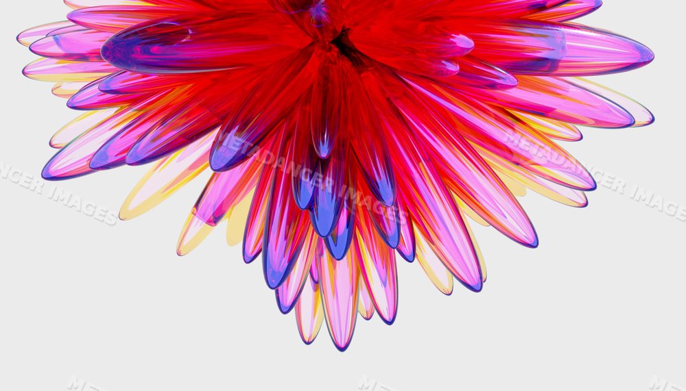 Colorful translucent digital flower with layered petals on white