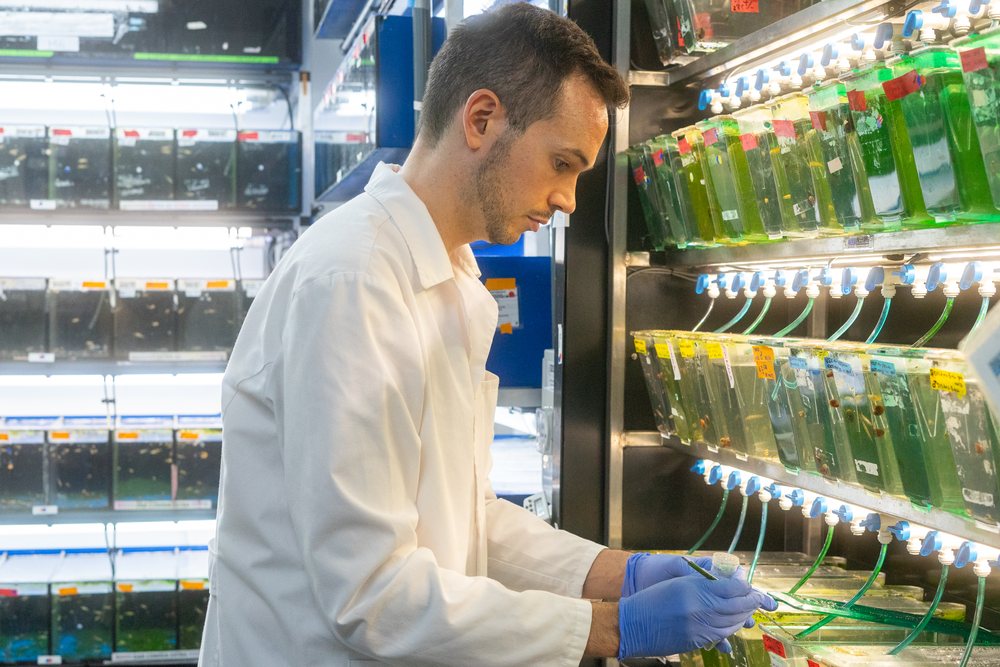 A scientist in a white lab coat working with aquatic test tanks for research in a laboratory, Spain.