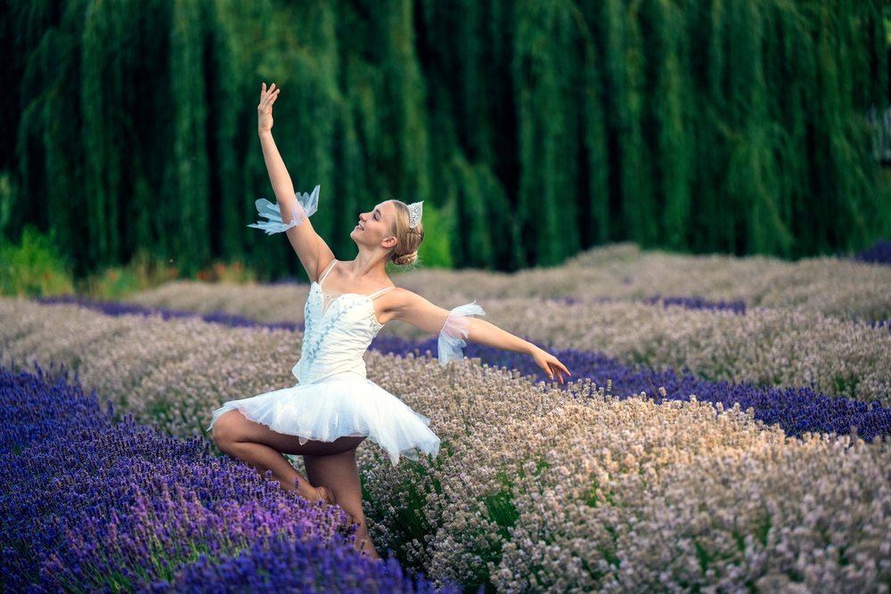 A dancer in a white skirt gracefully poses among blooming lavender fields, WA, USA.