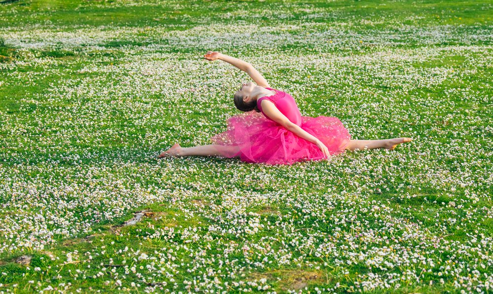 Ballet dancer wearing a pink tutu performs a split stretch outdoors in a grassy field with daisies, USA.