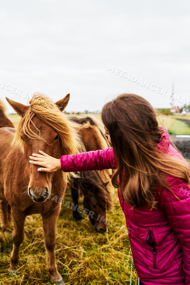 White Woman gently pets a horse in a grassy Iceland field