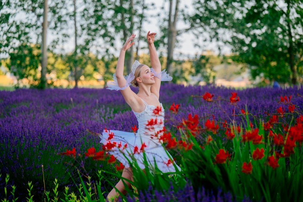 A ballet dancer dressed in a white tutu performs gracefully in a vibrant lavender field with red flowers, WA, USA.