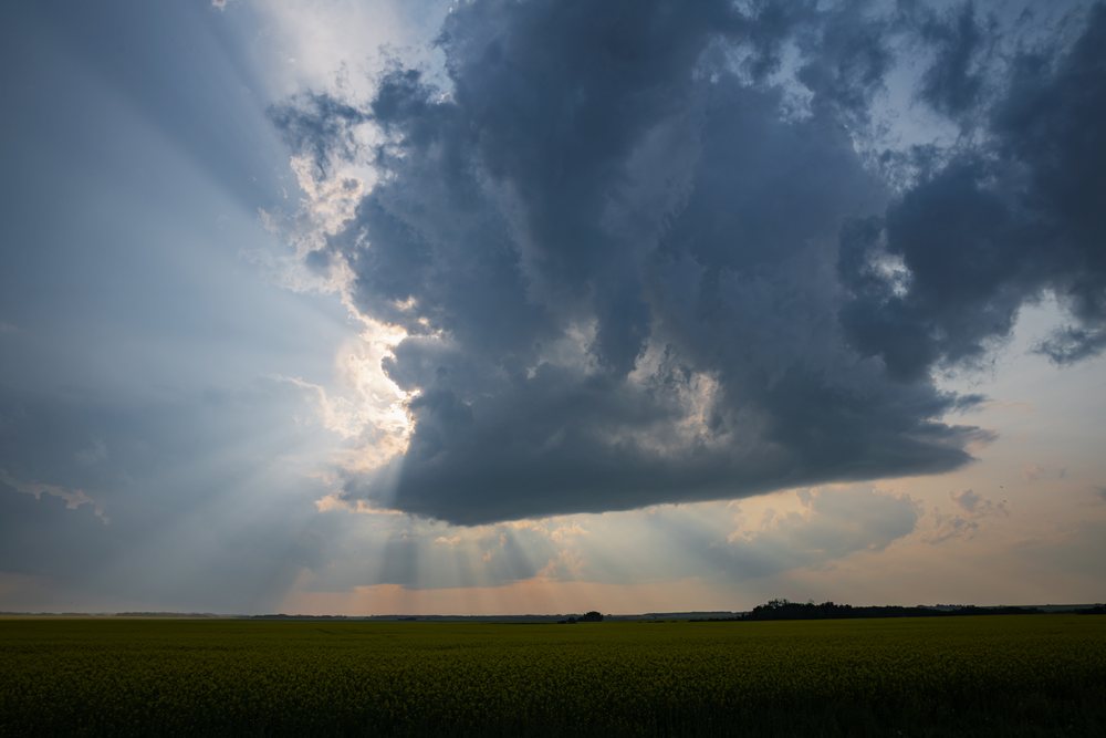 Supercell storm forming over a canola field, with sunrays breaking through clouds, Storm Chasing, Weather, Environment, Rocky View County, Saskatchewan, Canada.