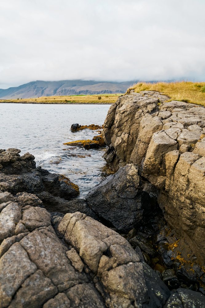 Rocky coastline with grass and mountains under cloudy sky