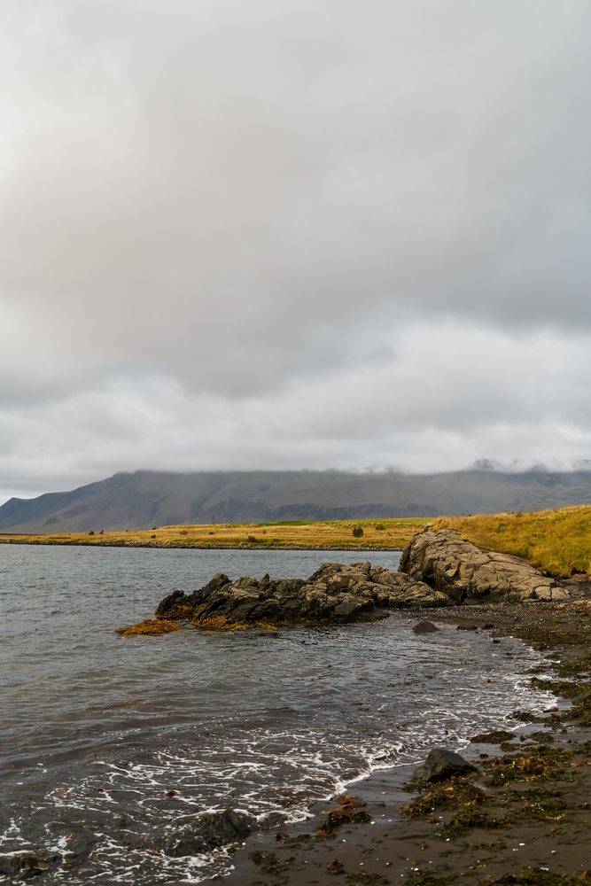 Rocky shoreline with grassy coast and mountains under cloudy skies