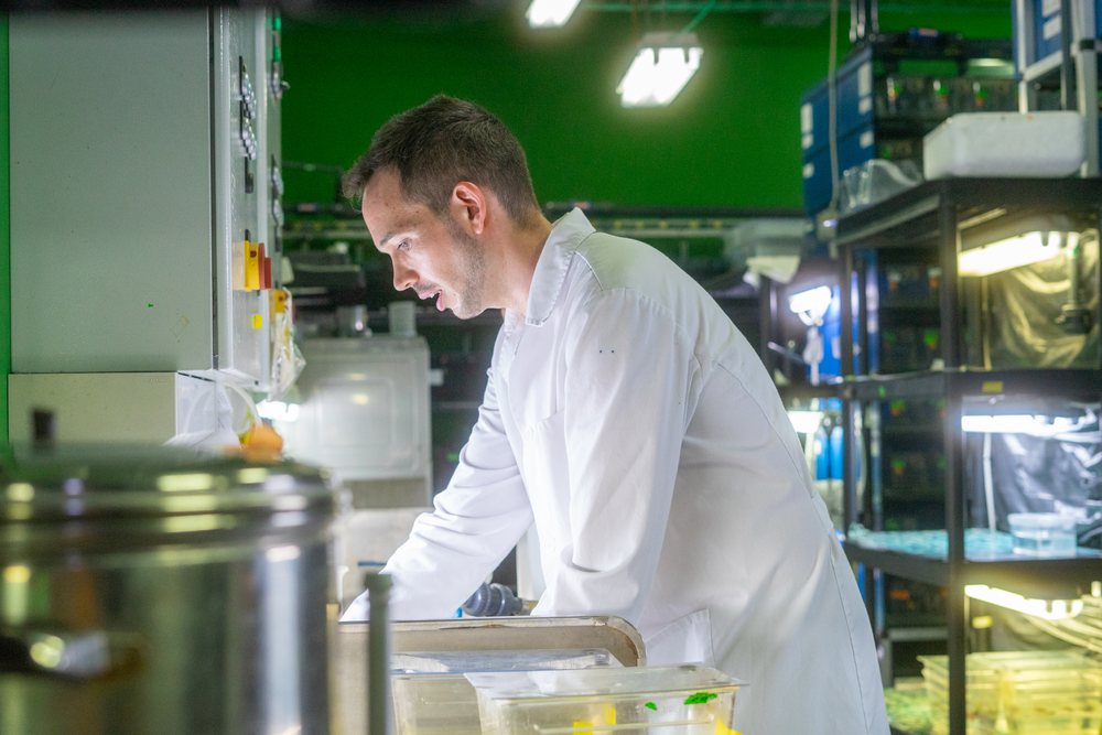A scientist wearing a lab coat is conducting an experiment inside a laboratory, research, science, Spain.