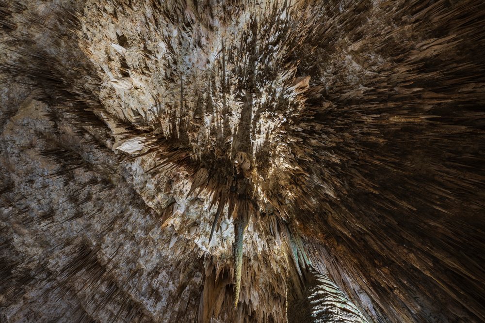 Stalactites hanging from the cave ceiling inside Carlsbad Caverns, landscape, wildlife, Carlasbad Caverns, New Mexico.