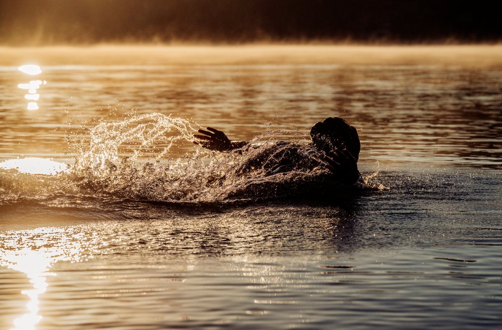 Person swimming in a lake with sunlight reflecting on the water surface, USA.