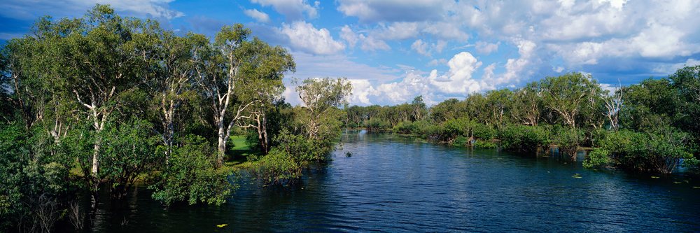 Jim Creek flows through flooded trees under a partly cloudy sky, Northern Territory, Jim Creek Kakadu National Park Northern Territory, Australia.