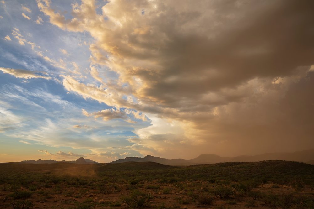 Storm clouds carry Outflow Dust from a Haboob over the desert at sunset, Storm Chasing, Weather, Environmental Issues, Douglas, Arizona, USA.