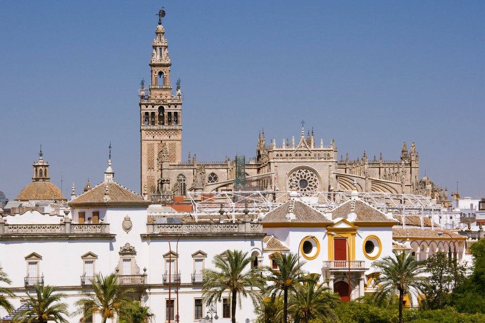 Gothic Seville Cathedral tower rises above white historic buildings and palm trees under a clear blue sky, Andalucia, Spain.