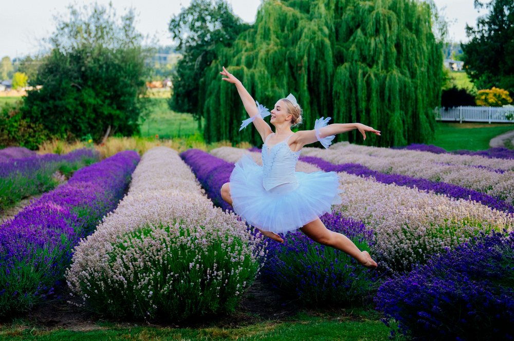 A ballet dancer in a white tutu leaps gracefully through rows of purple and pale lavender flowers in a field, WA, USA.