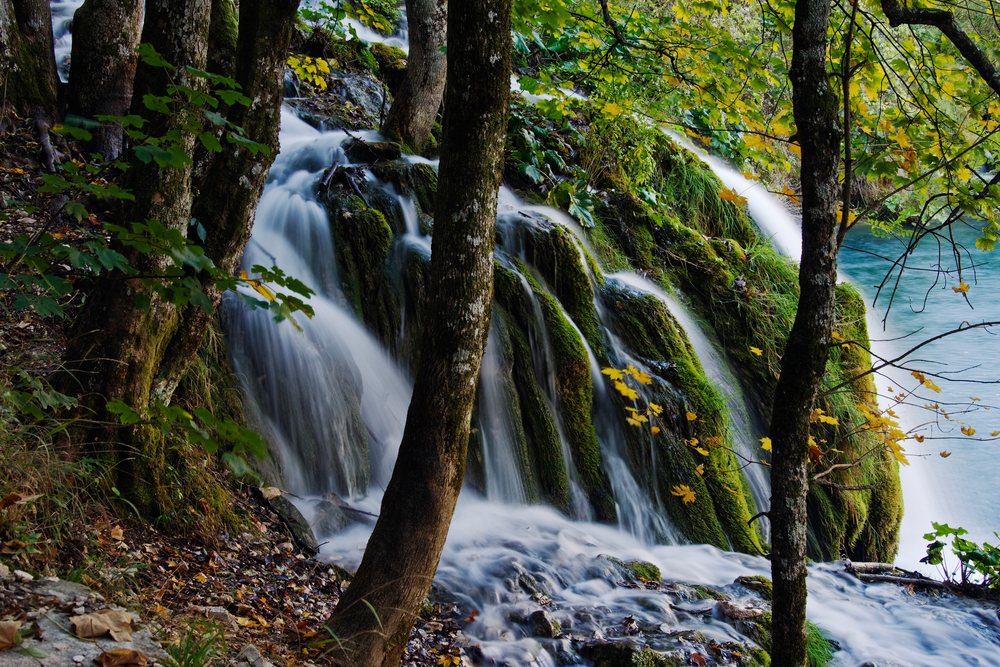 Waterfall flowing over moss-covered rocks surrounded by trees, Plitvice Lakes National Park, Croatia.