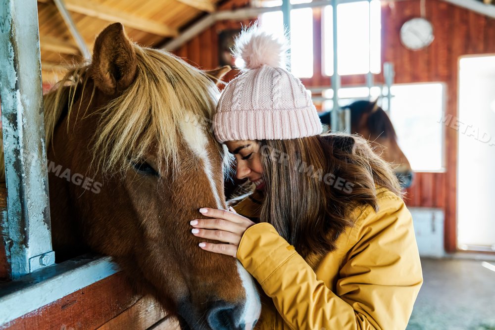 A white woman gently pets a brown horse inside a stable in Iceland