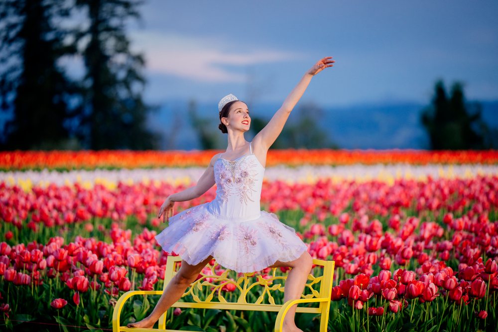 Barefoot ballet dancer in a pink and white tutu and tiara poses gracefully on a yellow metal bench in a vibrant tulip field during spring, USA.
