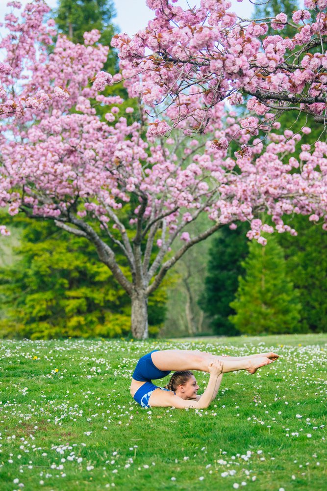 Woman practicing yoga in a flexibility pose on grass under a pink blossoming tree in spring, USA.