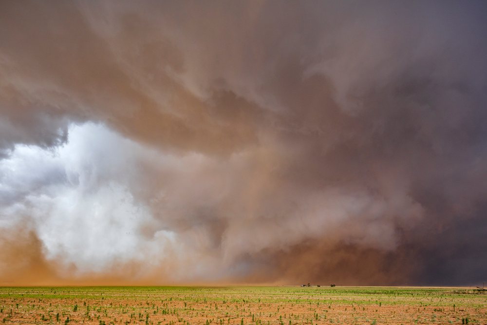 Large wedge-shaped tornado forms, over a green field amid storm clouds and dust on the Great Plains, Morton, Texas, USA.