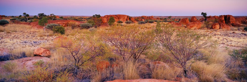 Panoramic view of Devils Marbles rock formations with desert vegetation and pink sky at sunset, Australia.