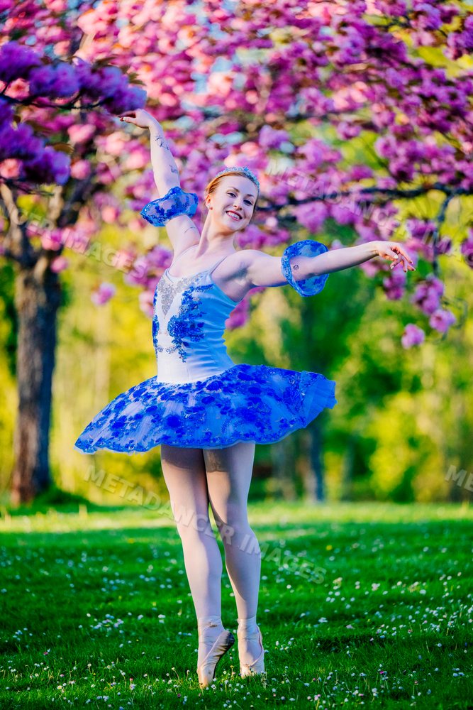 A ballerina dances gracefully