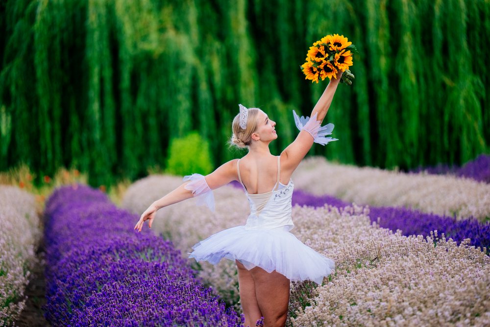 A female dancer in a white skirt holds a bouquet of sunflowers while performing in a lavender field, WA, USA.