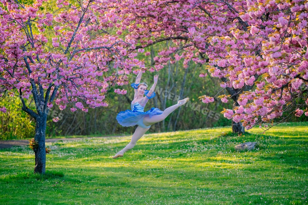 A dancer jumps gracefully beneath cherry