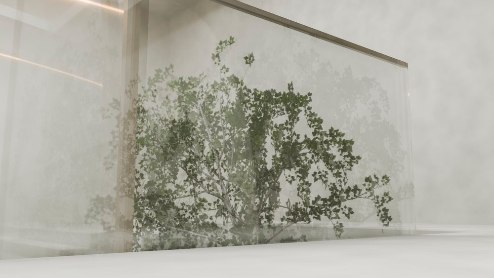 Glass panel reflecting a leafy tree in an outdoor minimalist setting.