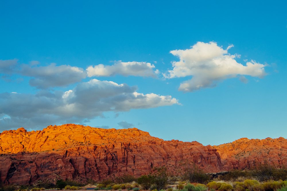 Red rock cliffs and desert vegetation, Snow Canyon, red Cliffs Desert, Utah, USA.