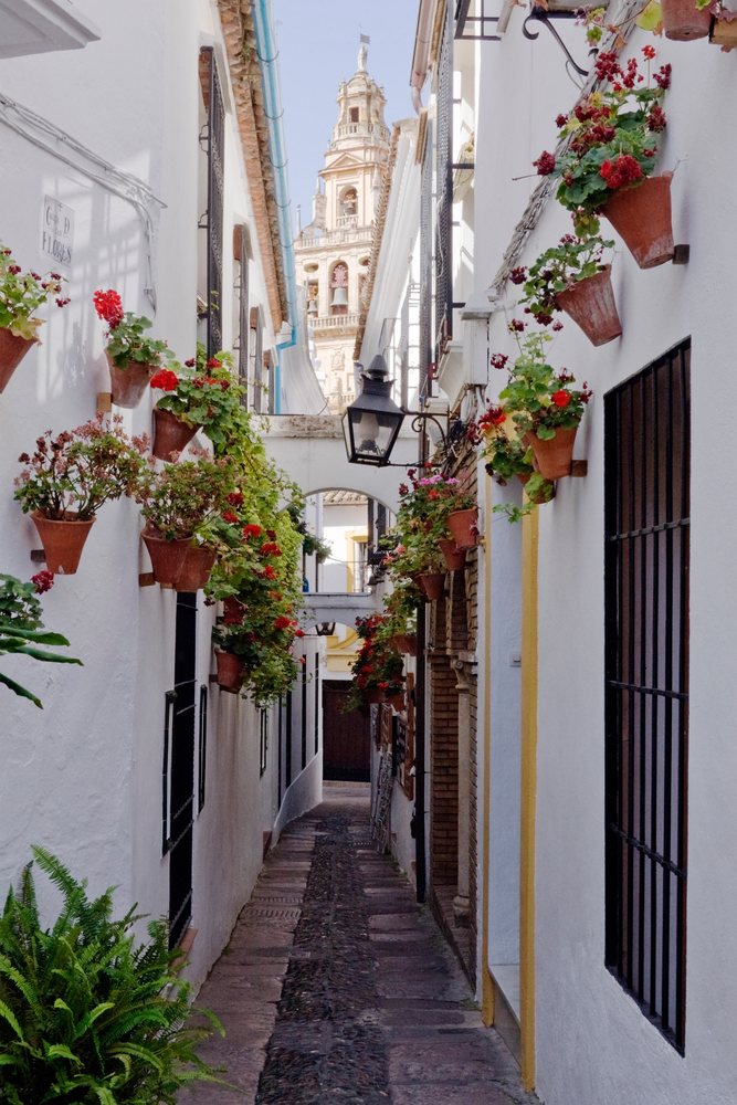 Narrow alley, Spain decorated with terracotta flower pots and a distant historic stone tower, Andalusia.