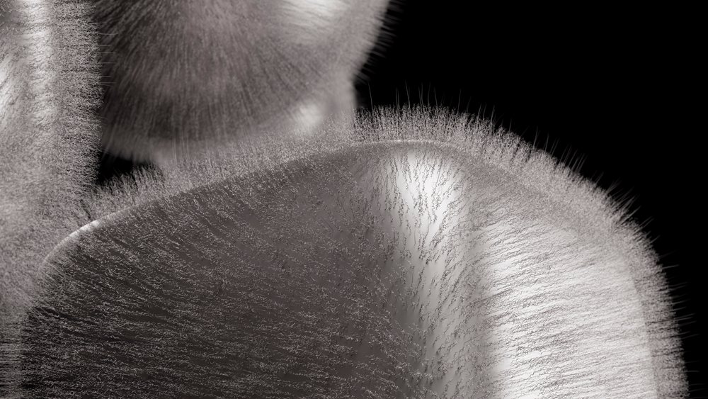 Microscopic close-up showing fine hairlike fungal structures and spores on an surface with black background.