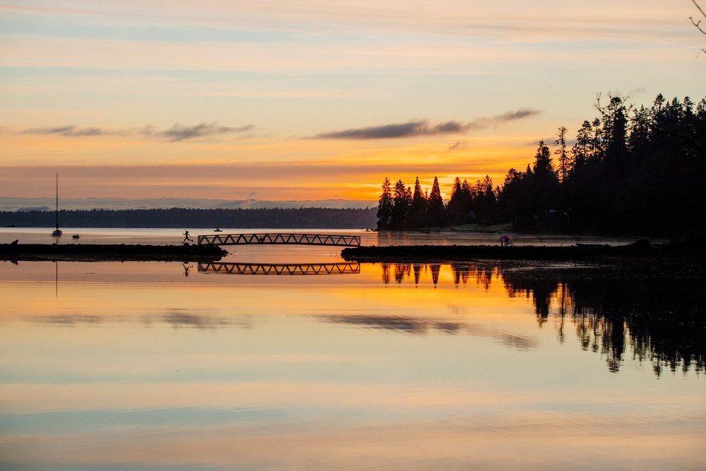 Sunset over calm water with pier and tree silhouettes reflecting, shington, Bainbridge Island, WA, USA.