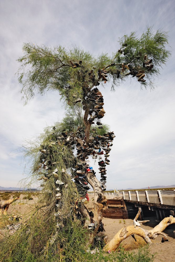Shoe tree covered with many shoes near a wooden bridge along a roadside in a dry California desert landscape, USA.