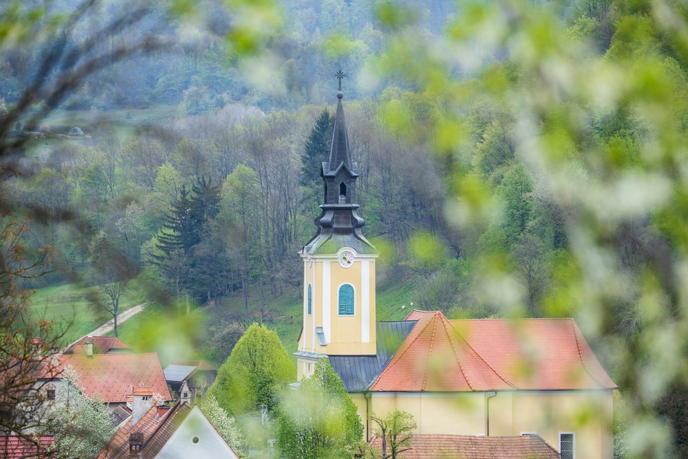 The Church of St John the Baptist with its steeple and clock tower rises above rooftops amid trees, Kozjanski Regional Park, Slovenia, landscape, cityscape, Podsreda Market Town.
