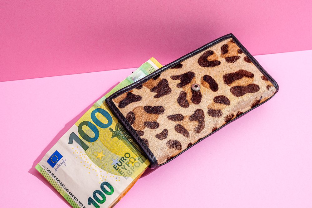 Leopard print wallet containing partially visible 100 euro banknotes on a pink studio background under studio lighting, Studio Shot.