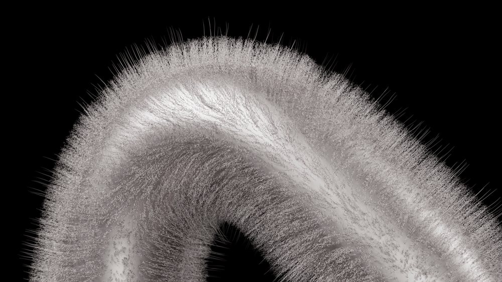 Digital illustration of a curved form with fine hair-like fibers on a monochrome black background.