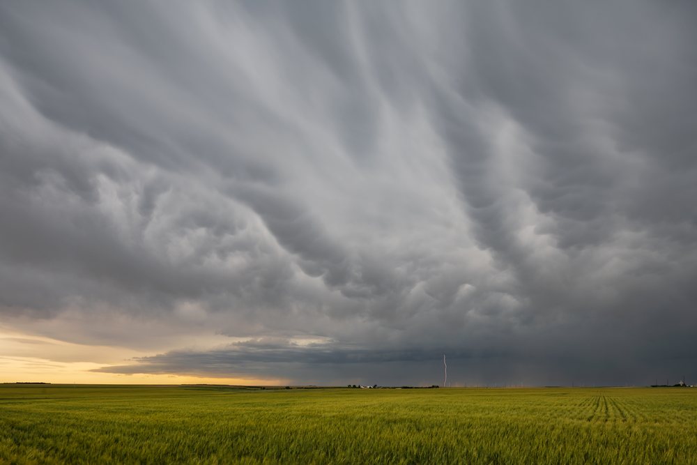 Supercell storm with lightning bolts over rural green fields in the Great Plains region of, Fleming, Colorado, USA.