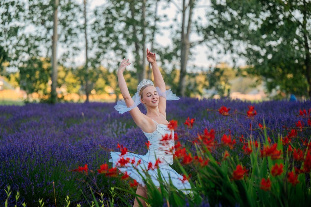 A ballerina in a blue tutu dances gracefully in a lavender and red flower field with trees in the background, WA, USA.